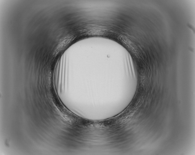 X0000095880586200802081057