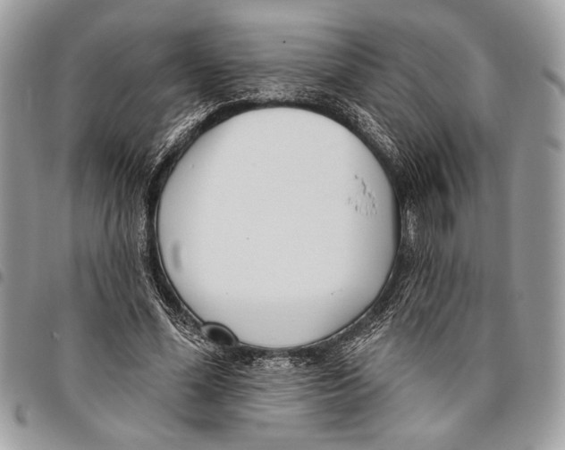 X0000095880588200802081057