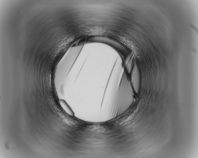 X0000095880589200802081057