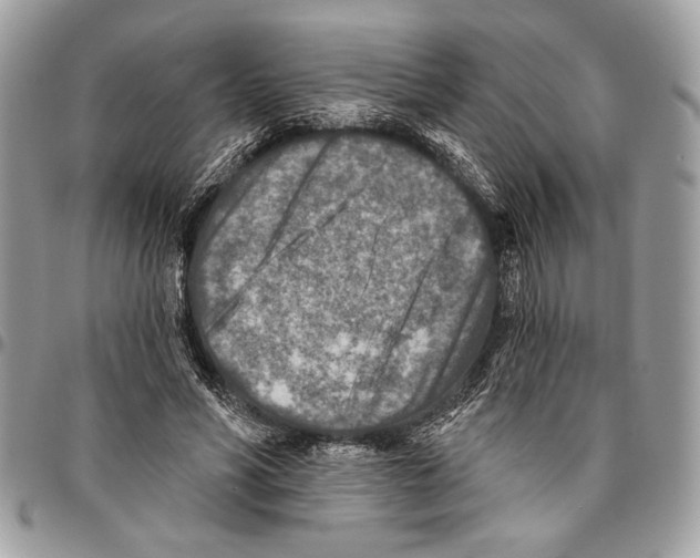 X0000095880590200802081057