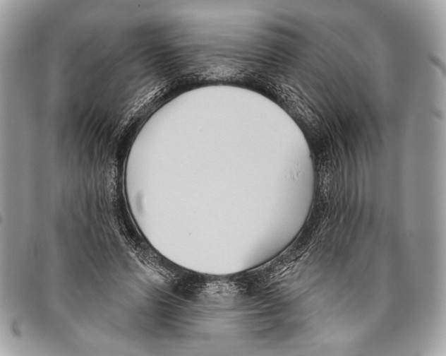 X0000095880591200802081057