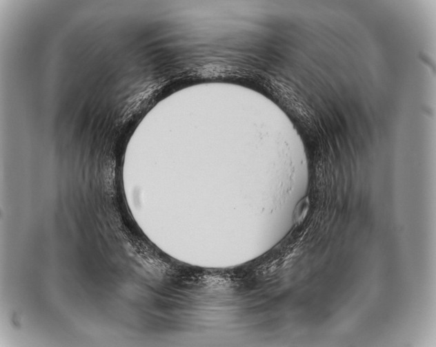 X0000095880592200802081057