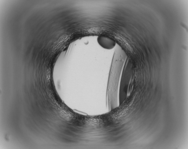 X0000095880593200802081057