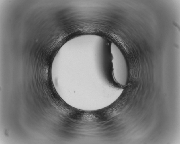 X0000095880596200802081056