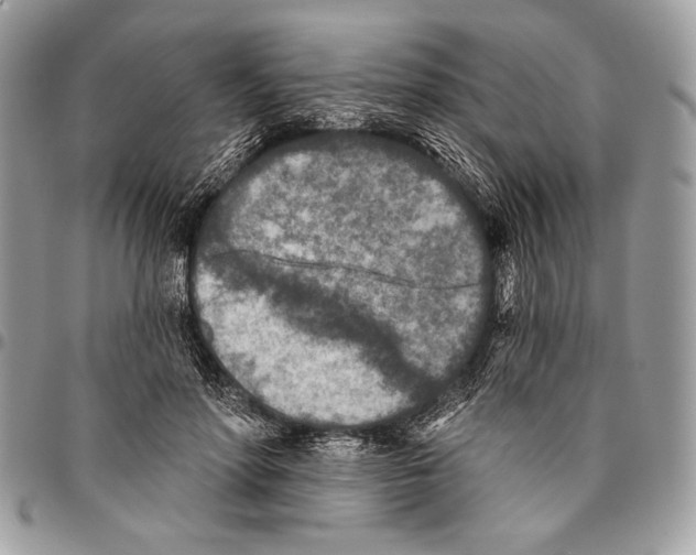 X0000095880598200802081056