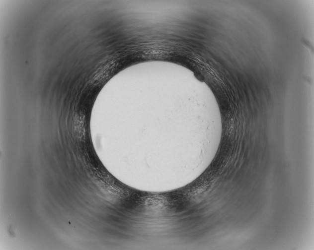 X0000095880599200802081056