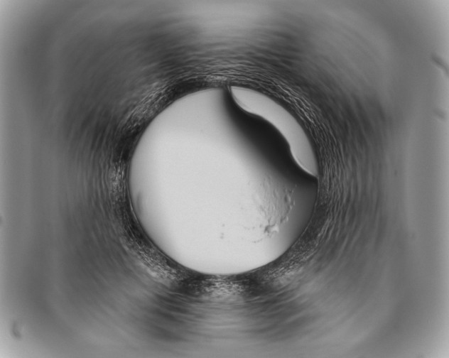 X0000095880601200802081056