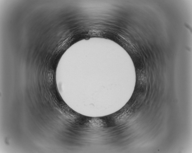 X0000095880603200802081056