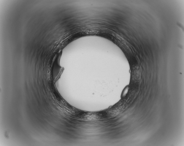 X0000095880604200802081056