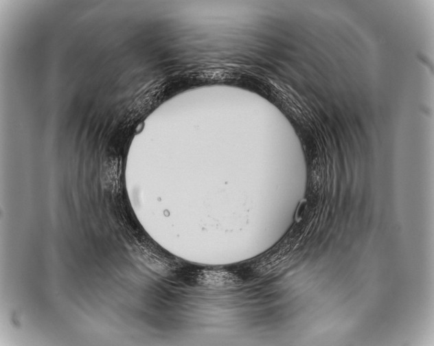 X0000095880605200802081056