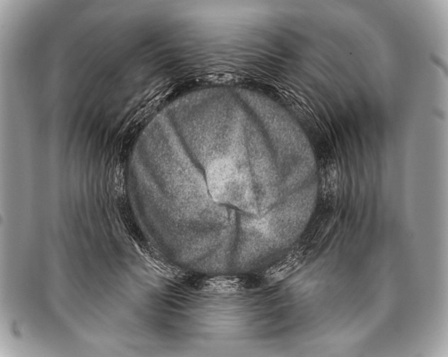 X0000095880606200802081056