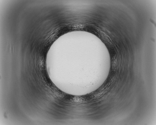 X0000095880608200802081056