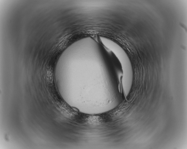 X0000095880609200802081056