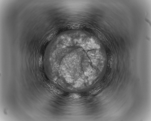 X0000095880610200802081056