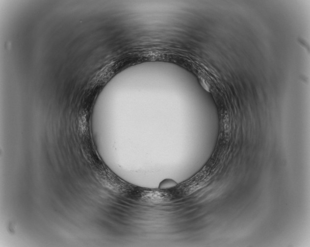 X0000095880611200802081056