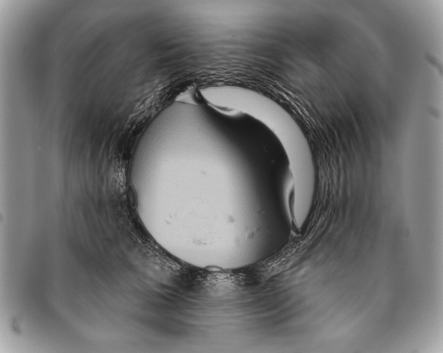 X0000095880613200802081056