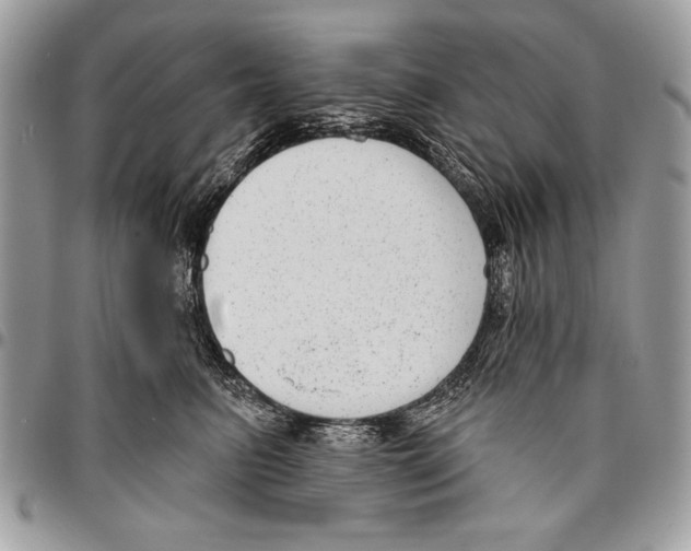 X0000095880615200802081056