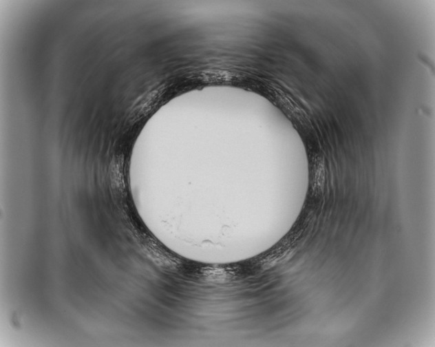 X0000095880616200802081056