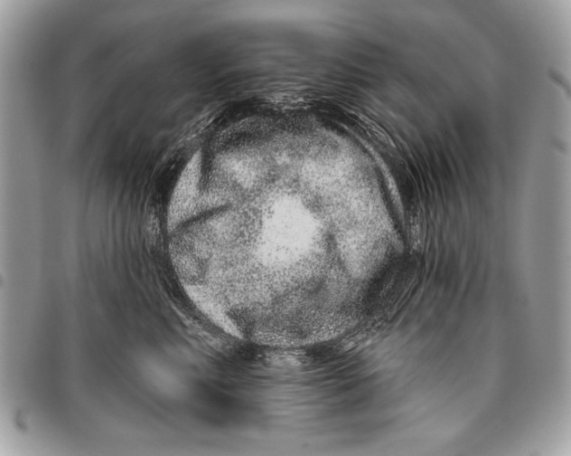 X0000095880618200802081056