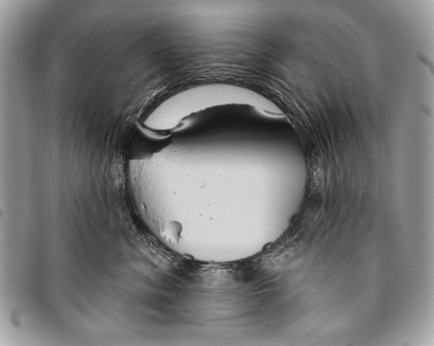 X0000095880620200802081056