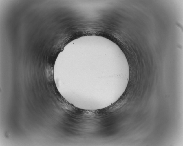 X0000095880624200802081056