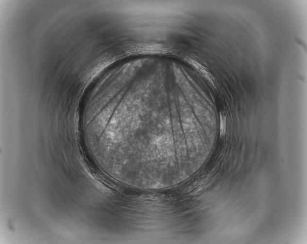 X0000095880627200802081055