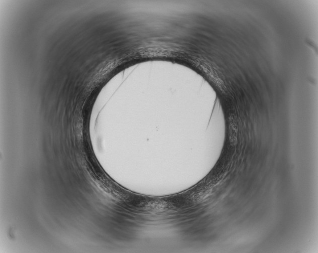 X0000095880631200802081055