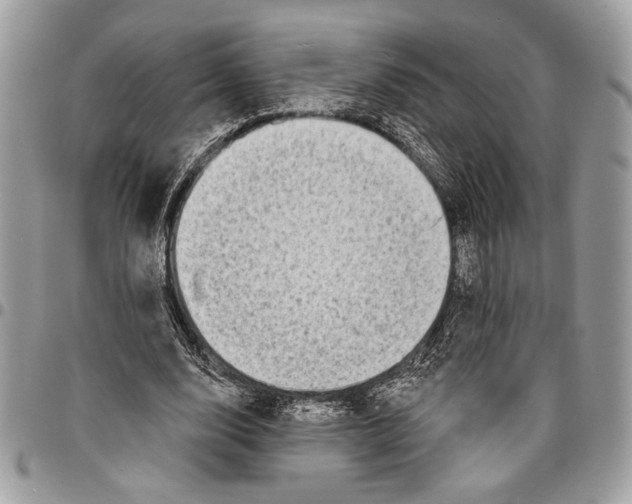 X0000095880632200802081055