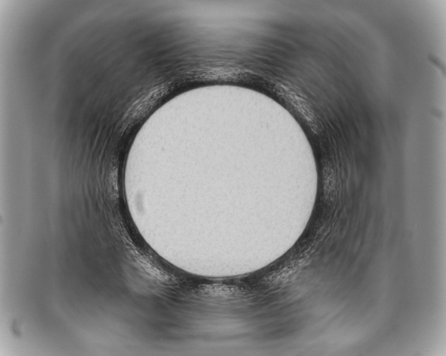 X0000095880633200802081055