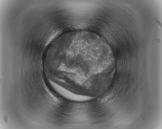 X0000095880634200802081055