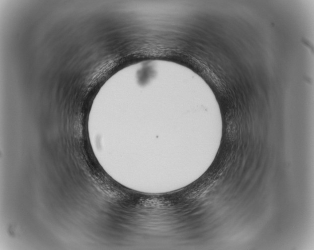 X0000095880635200802081055