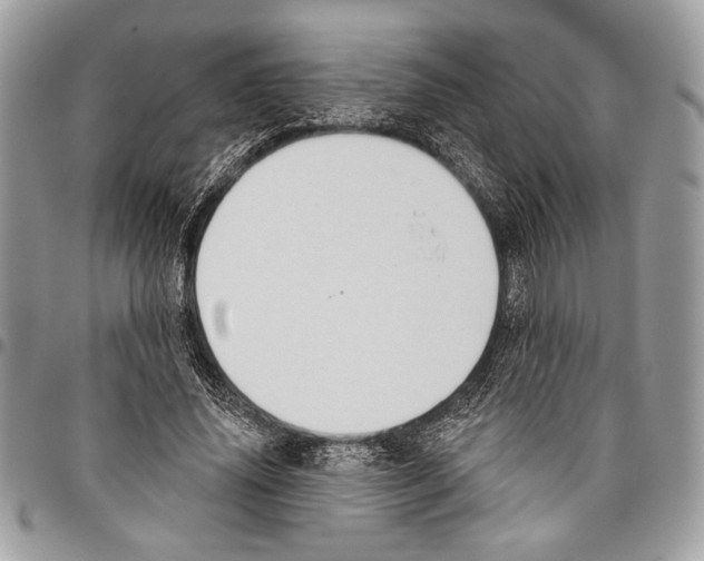 X0000095880636200802081055