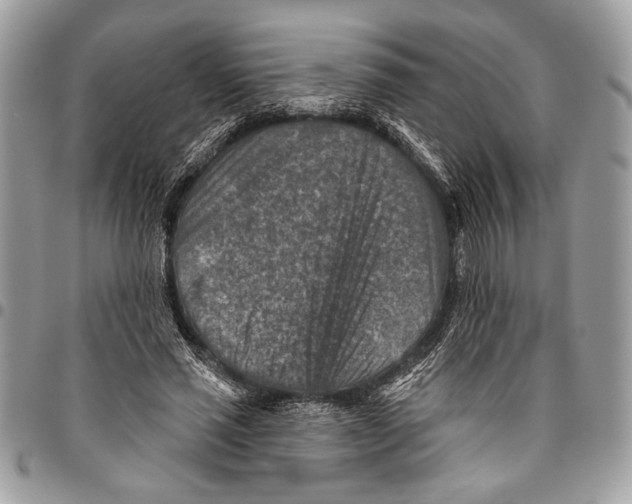 X0000095880637200802081055