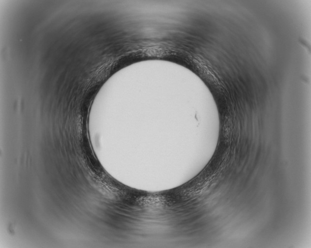 X0000095880639200802081055