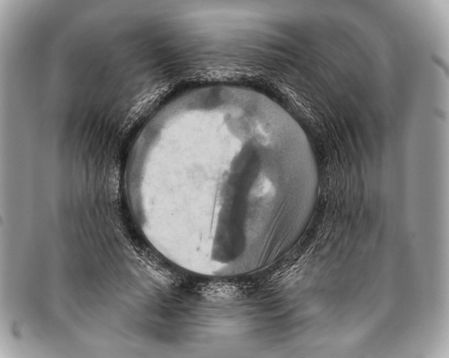 X0000095880640200802081055