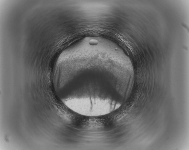 X0000095880641200802081055