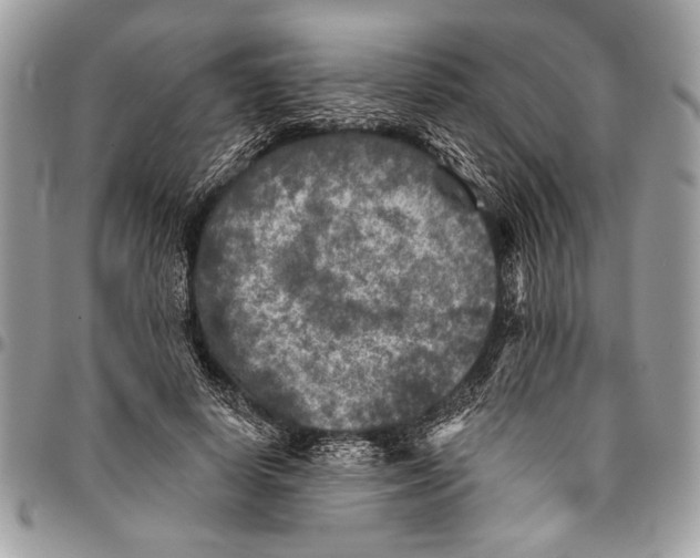 X0000095880642200802081055