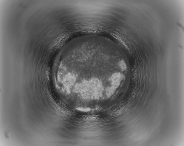 X0000095880643200802081055