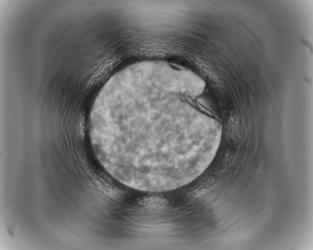 X0000095880644200802081055