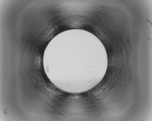 X0000095880646200802081055