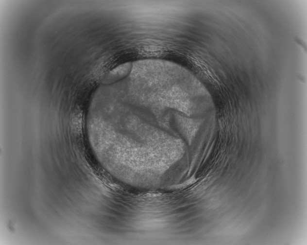 X0000095880647200802081055