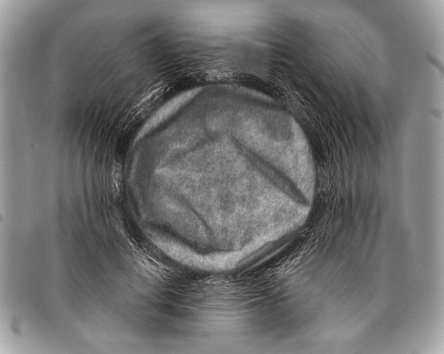 X0000095880648200802081055