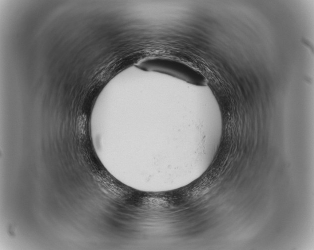 X0000095880649200802081055