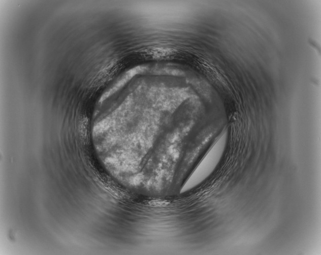 X0000095880650200802081055