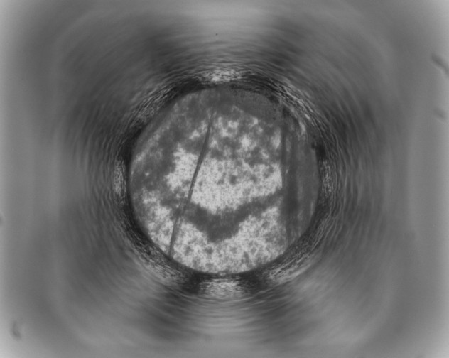 X0000095880651200802081055