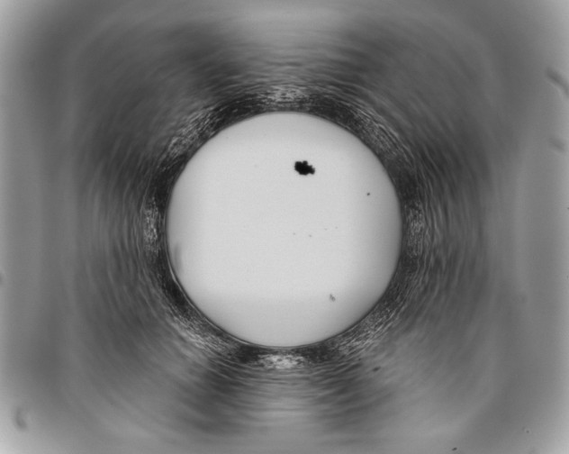 X0000095880654200802081055