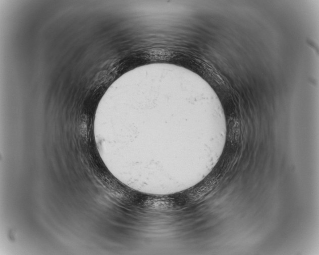 X0000095880655200802081055