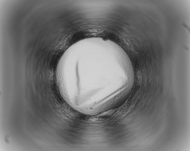 X0000095880657200802081056