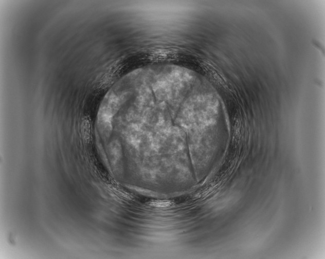 X0000095880659200802081056