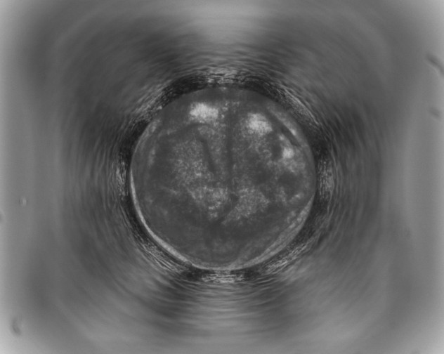 X0000095880661200802081056